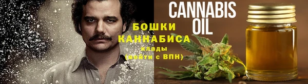 таблы Снежногорск
