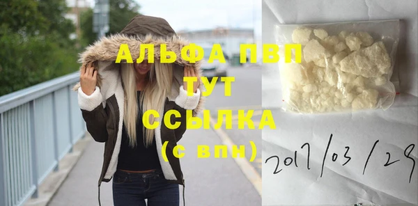 PSILOCYBIN Слюдянка