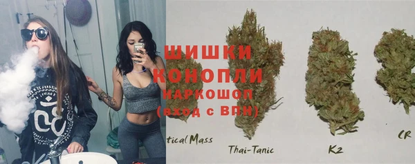 таблы Снежногорск