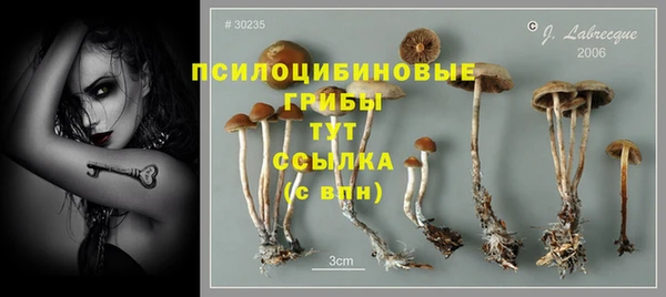 тгк Зарайск