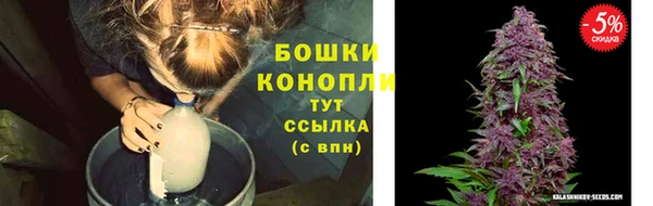 стафф Снежинск