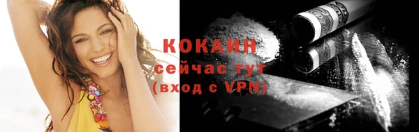 ПСИЛОЦИБИНОВЫЕ ГРИБЫ Няндома