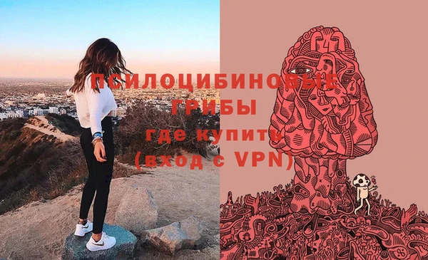 стафф Снежинск