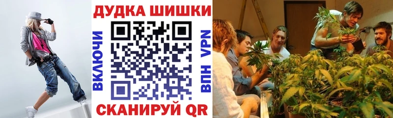 ссылка на мегу маркетплейс Шахунья Бошки Шишки тримм